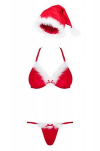 Santastic Sexy Christmas Costume For Women