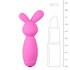 Vibrerende Mini Bunny Vibrator_