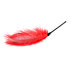 Red Feather Tickler_