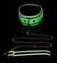 Kink in the Dark - Leuchtendes Halsband mit Gurt_