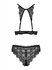 Renelia 2-piece Lace Bra Set - Black_