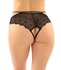 Posey Lace Crotchless Briefs - Black_