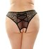 Daisy Crotchless Panties - Curvy_