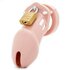 CB-6000 Chastity Cock Cage - Pink_