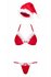 Santastic Sexy Christmas Costume For Women_