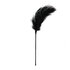 Black Feather Tickler_