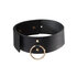 MAZE Collar With Leash_