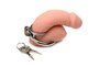 Locked Cock Locking - Cock / Ball Ring_